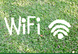 WiFi symbol on green grass